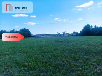 TYLKO U NAS  PIĘKNA OTULONA LASEM I CSZĄ - Lubiewice  -
Kujawsko-Pomorskie Zdjęcie nr 5