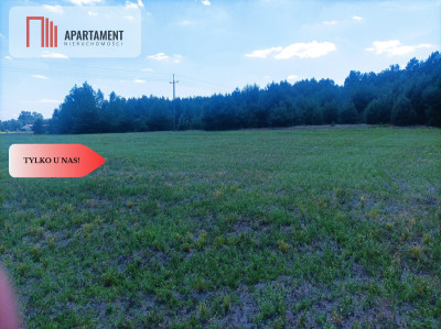 TYLKO U NAS  PIĘKNA OTULONA LASEM I CSZĄ - Lubiewice  -
Kujawsko-Pomorskie Zdjęcie nr 7