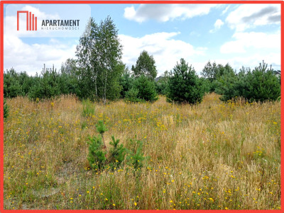 Stronno działka 993 m2 z WZ cisza spokój - Stronno  - Kujawsko-Pomorskie