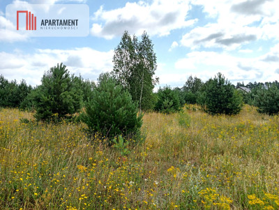 Stronno działka 993 m2 z WZ cisza spokój - Stronno  -
Kujawsko-Pomorskie Zdjęcie nr 2