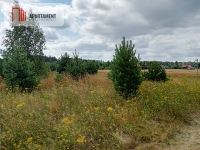 Stronno działka 993 m2 z WZ cisza spokój - Stronno  -
Kujawsko-Pomorskie Zdjęcie nr 5