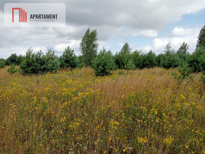 Stronno działka 993 m2 z WZ cisza spokój - Stronno  -
Kujawsko-Pomorskie Zdjęcie nr 8