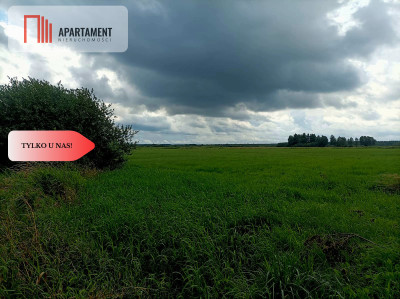 LAS z łąką ANIELINY SADKI 270mkw - Anieliny  -
Kujawsko-Pomorskie Zdjęcie nr 4