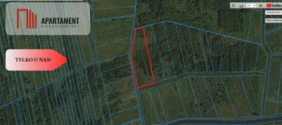 LAS z łąką ANIELINY SADKI 270mkw - Anieliny  -
Kujawsko-Pomorskie Zdjęcie nr 5