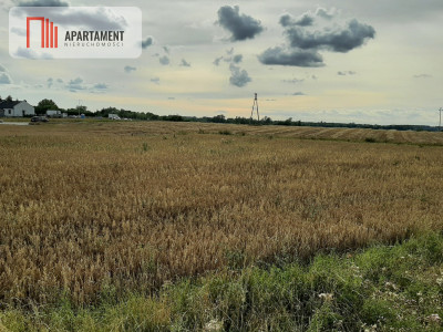Tania działka budowlana z MPZP - Rogowo  -
Kujawsko-Pomorskie Zdjęcie nr 2
