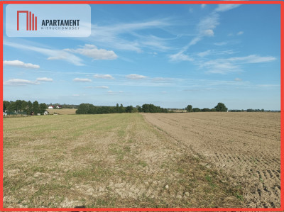 Działki w Kopczynie - Kopczyn  - Kujawsko-Pomorskie