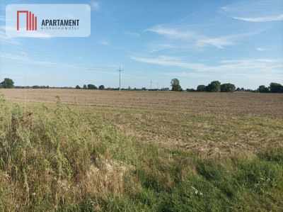 Działki w Kopczynie - Kopczyn  -
Kujawsko-Pomorskie Zdjęcie nr 3