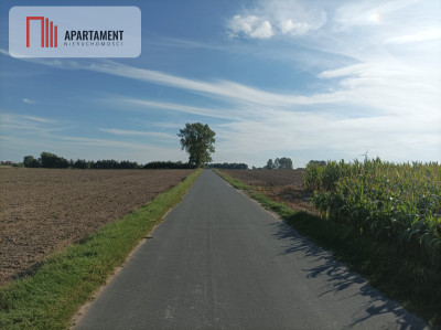 Działki w Kopczynie - Kopczyn  -
Kujawsko-Pomorskie Zdjęcie nr 5