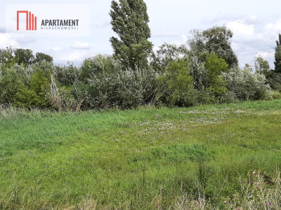 Działka w Żninie blisko jeziora Dużego - Żnin  -
Kujawsko-Pomorskie Zdjęcie nr 4