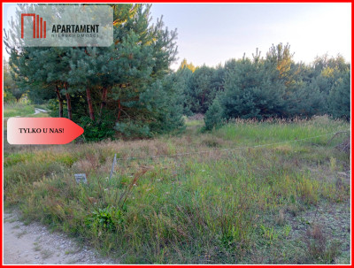 Bory Tucholskie  działka 1195 mkw pod budowę domu - Branica  -
Kujawsko-Pomorskie Zdjęcie nr 6