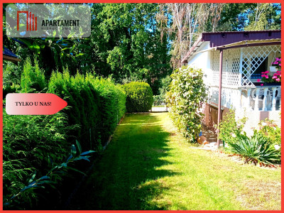 Tylo u nas ROD Wolice - Wolice  - Kujawsko-Pomorskie