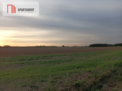 Działka w spokojnej okolicy - Komratowo  -
Kujawsko-Pomorskie Zdjęcie nr 4