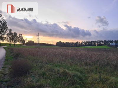 OKAZJA Działki w cichej i spokojnej okolicy - Skorzewo  -
Pomorskie Zdjęcie nr 3