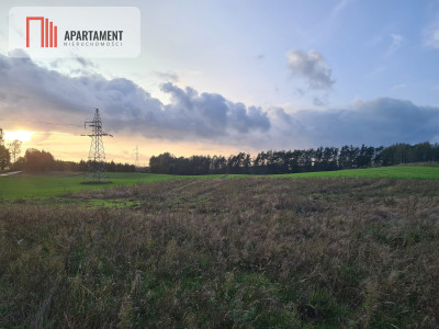 OKAZJA Działki w cichej i spokojnej okolicy - Skorzewo  -
Pomorskie Zdjęcie nr 4