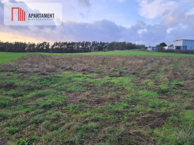 OKAZJA Działki w cichej i spokojnej okolicy - Skorzewo  -
Pomorskie Zdjęcie nr 5