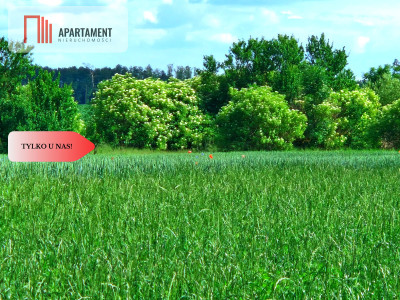 Tylko u nas  Działki ze stawem - powiat tucholski  -
Kujawsko-Pomorskie Zdjęcie nr 10