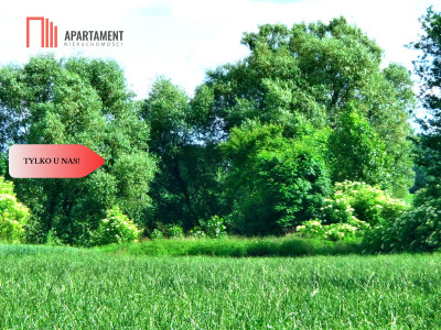 Tylko u nas  Działki ze stawem - powiat tucholski  -
Kujawsko-Pomorskie Zdjęcie nr 11