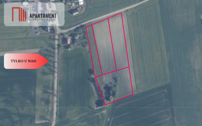 Tylko u nas  Działki ze stawem - powiat tucholski  -
Kujawsko-Pomorskie Zdjęcie nr 12