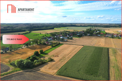 Tylko u nas  Działki ze stawem - powiat tucholski  - Kujawsko-Pomorskie