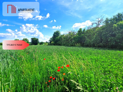 Tylko u nas  Działki ze stawem - powiat tucholski  -
Kujawsko-Pomorskie Zdjęcie nr 6