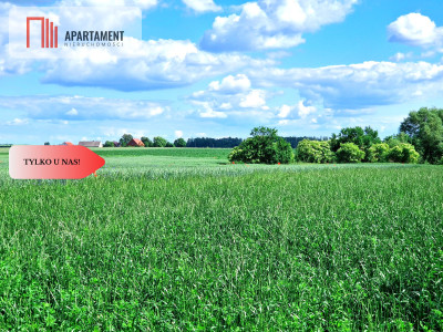 Tylko u nas  Działki ze stawem - powiat tucholski  -
Kujawsko-Pomorskie Zdjęcie nr 7