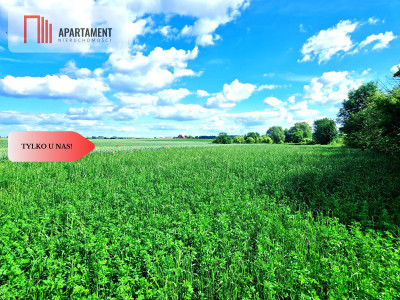 Tylko u nas  Działki ze stawem - powiat tucholski  -
Kujawsko-Pomorskie Zdjęcie nr 9