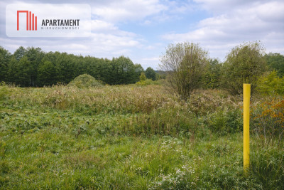 Działka z linią brzegową Drwęcy Natura 2000 - Kominy  -
Kujawsko-Pomorskie Zdjęcie nr 2