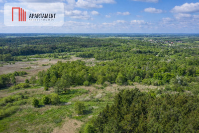 Działka z linią brzegową Drwęcy Natura 2000 - Kominy  -
Kujawsko-Pomorskie Zdjęcie nr 3