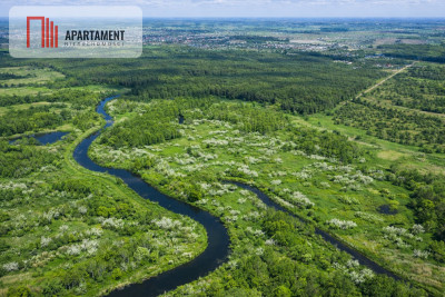 Działka z linią brzegową Drwęcy Natura 2000 - Kominy  -
Kujawsko-Pomorskie Zdjęcie nr 4