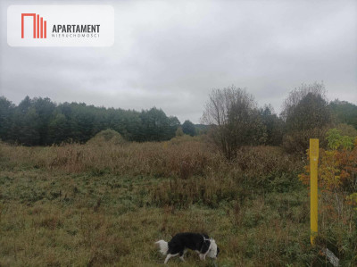 Działka z linią brzegową Drwęcy Natura 2000 - Kominy  -
Kujawsko-Pomorskie Zdjęcie nr 9