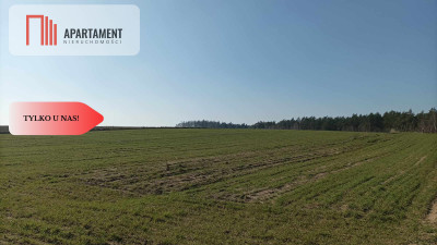 TYLKO U NAS Super działki budowlane uzbrojone - Ciechocin  -
Kujawsko-Pomorskie Zdjęcie nr 11