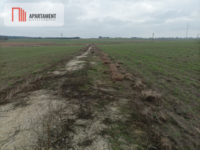 Działka z dala od zgiełku miasta - Krążkowo  -
Kujawsko-Pomorskie Zdjęcie nr 4