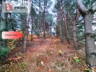 Tylko u nasDziałka w okolicy lasów i jezior - Bartoszylas  -
Pomorskie Zdjęcie nr 4