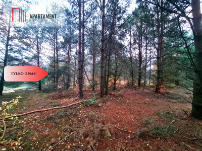 Tylko u nasDziałka w okolicy lasów i jezior - Bartoszylas  -
Pomorskie Zdjęcie nr 5