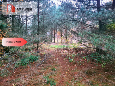 Tylko u nasDziałka w okolicy lasów i jezior - Bartoszylas  -
Pomorskie Zdjęcie nr 6