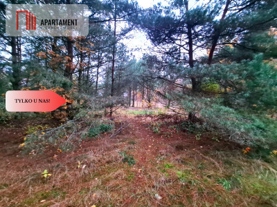 Tylko u nasDziałka w okolicy lasów i jezior - Bartoszylas  -
Pomorskie Zdjęcie nr 7