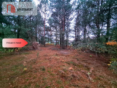 Tylko u nasDziałka w okolicy lasów i jezior - Bartoszylas  -
Pomorskie Zdjęcie nr 8