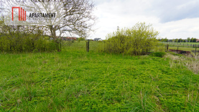 Duża działka do podziału lub inwestycji - Chojniczki  -
Pomorskie Zdjęcie nr 6