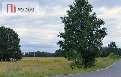 wydane warunki zabudowy pod siedlisko - Małomin - Małomin  -
Kujawsko-Pomorskie Zdjęcie nr 4