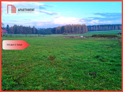 Tylko U Nas Działki w Cichej i Spokojnej Okolicy - Abisynia  - Pomorskie