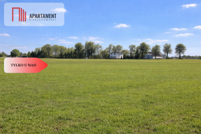 Przestronne działki na sprzedaż blisko Torunia - Żygląd  - Kujawsko-Pomorskie