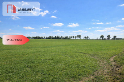 Przestronne działki na sprzedaż blisko Torunia - Żygląd  -
Kujawsko-Pomorskie Zdjęcie nr 2