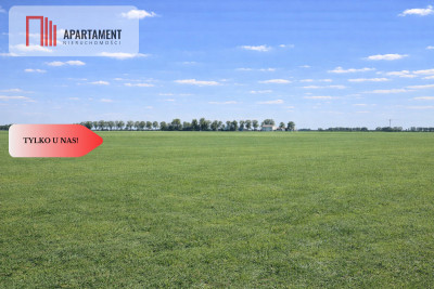 Przestronne działki na sprzedaż blisko Torunia - Żygląd  -
Kujawsko-Pomorskie Zdjęcie nr 5