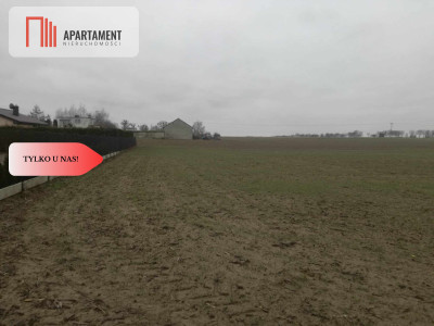 Przestronne działki na sprzedaż blisko Torunia - Żygląd  -
Kujawsko-Pomorskie Zdjęcie nr 6