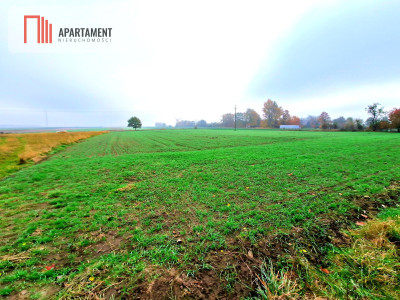 Działka z WZ zaledwie 4 km od Człuchowa - Ględowo  -
Pomorskie Zdjęcie nr 2