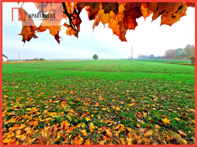 Działka z WZ zaledwie 4 km od Człuchowa - Ględowo  -
Pomorskie Zdjęcie nr 5