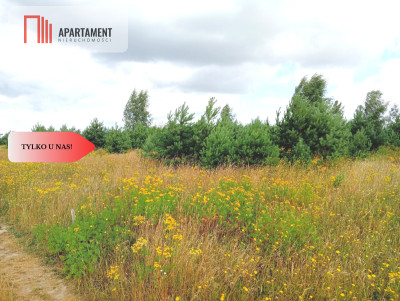 Stronno 1002 m2 w spokojnej cichej okolicy - Stronno  -
Kujawsko-Pomorskie Zdjęcie nr 10