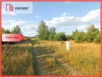 Stronno 1002 m2 w spokojnej cichej okolicy - Stronno  - Kujawsko-Pomorskie