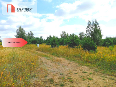 Stronno 1002 m2 w spokojnej cichej okolicy - Stronno  -
Kujawsko-Pomorskie Zdjęcie nr 2