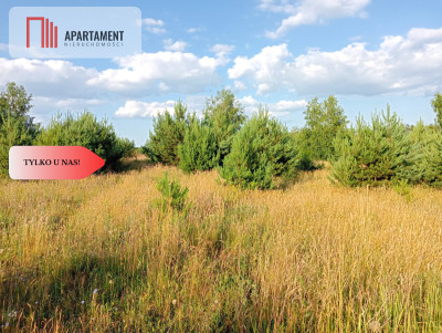 Stronno 1002 m2 w spokojnej cichej okolicy - Stronno  -
Kujawsko-Pomorskie Zdjęcie nr 3